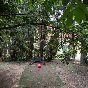 Vatican Quiet With Garden & Parking , Rome Italie